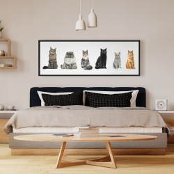 Framed 16 x 48 - Six cats lined up