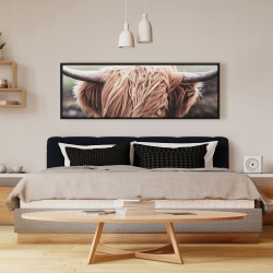 Framed 16 x 48 - Desaturated highland cow