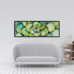 Framed 16 x 48 - Watercolor succulent plant