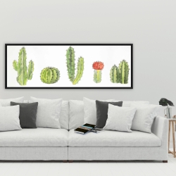 Encadré 20 x 60 - Ensemble de petits cactus à l'aquarelle