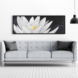 Encadré 20 x 60 - Fleur de lotus et sa réflexion