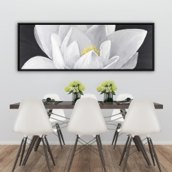 Encadré 20 x 60 - Vue de haut d'une fleur de lotus