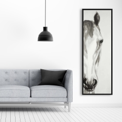 Framed 20 x 60 - Black & white horse face