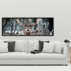 Encadré 20 x 60 - Cerfs