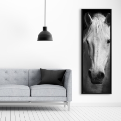 Framed 20 x 60 - Monochrome horse