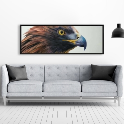 Encadré 20 x 60 - Aigle à tête brune