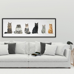 Framed 20 x 60 - Six cats lined up