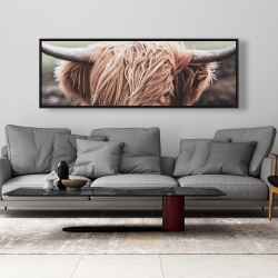 Framed 20 x 60 - Desaturated highland cow