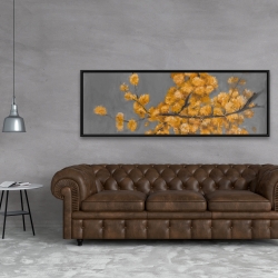 Framed 20 x 60 - Golden wattle plant with pugg ball flowers
