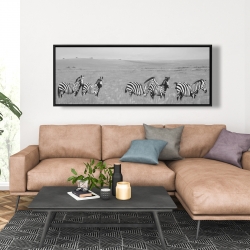 Framed 20 x 60 - Zebras in the savannah