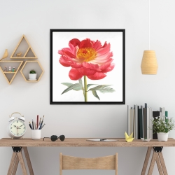 Framed 24 x 24 - Pink peony