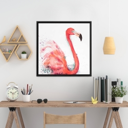 Encadré 24 x 24 - Flamant rose éclaboussant