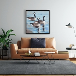 Framed 24 x 24 - Canada geese in water