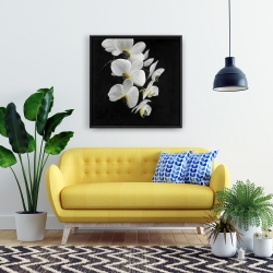 Framed 24 x 24 - Beautiful orchids