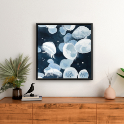 Framed 24 x 24 - Jellyfishs