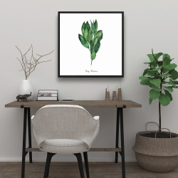 Framed 24 x 24 - Bay leaves bundle -en