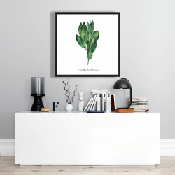 Framed 24 x 24 -  bay leaves bundle - fr