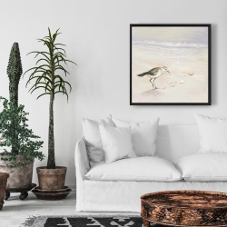 Framed 24 x 24 - Semipalmated sandpiper on the beach