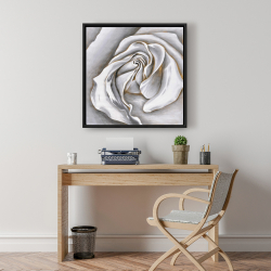 Encadré 24 x 24 - Centre d'une rose blanche