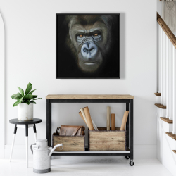 Framed 24 x 24 - Gorilla face