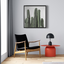 Encadré 24 x 24 - Cactus bougie du désert