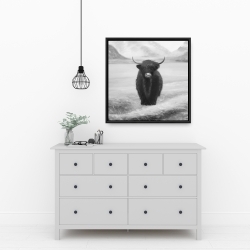 Framed 24 x 24 - Monochrome highland cow