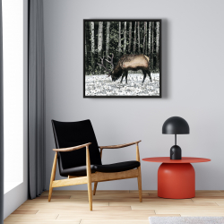 Framed 24 x 24 - Caribou in the forest