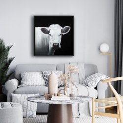 Framed 24 x 24 - White cow