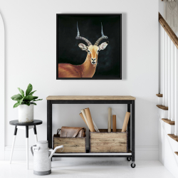 Encadré 24 x 24 - Antilope