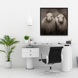 Framed 24 x 24 - Sheep sepia