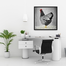 Framed 24 x 24 - Black and white wyandotte hen