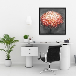 Framed 24 x 24 - Abstract dahlia flower