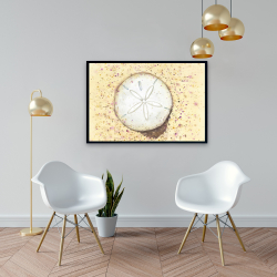 Framed 24 x 36 - Sand-dollar