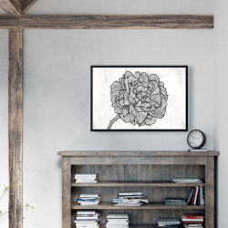 Framed 24 x 36 - Bright peony