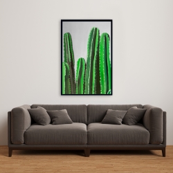 Encadré 24 x 36 - Cactus cierges