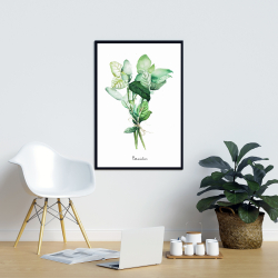 Framed 24 x 36 - Tied up basil leaves bundle - fr