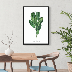 Framed 24 x 36 - Bay leaves bundle -en