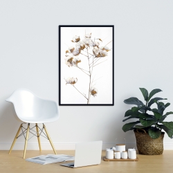Encadré 24 x 36 - Branche de fleurs de coton