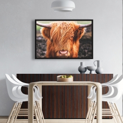 Encadré 24 x 36 - Vache highland portrait