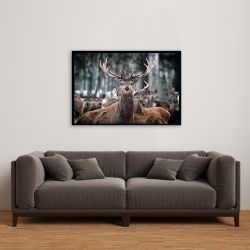 Encadré 24 x 36 - Cerfs