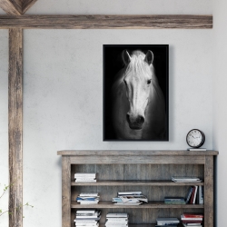 Framed 24 x 36 - Monochrome horse