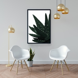 Framed 24 x 36 - Aloe plant
