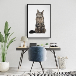 Framed 24 x 36 - Maine coon cat