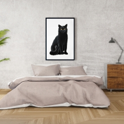 Framed 24 x 36 - Black cat