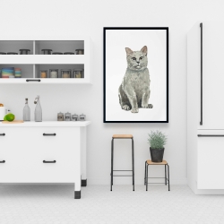 Framed 24 x 36 - British shorthair cat