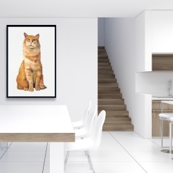 Framed 24 x 36 - Ginger cat