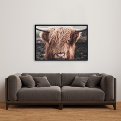 Framed 24 x 36 - Desaturated highland cow