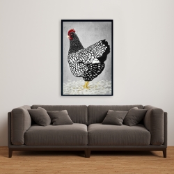 Framed 24 x 36 - Black and white wyandotte hen