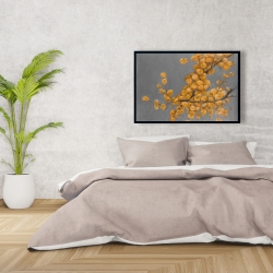 Framed 24 x 36 - Golden wattle plant with pugg ball flowers