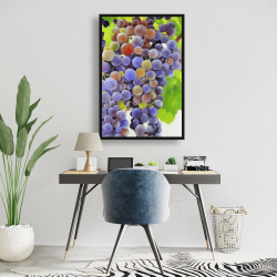 Encadré 24 x 36 - Bouquet de raisins